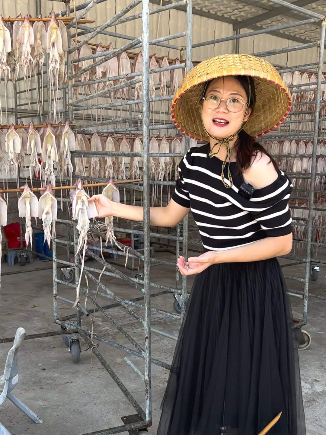 看看我们本港鱿鱼母鱿鱼公的区别 任你们选