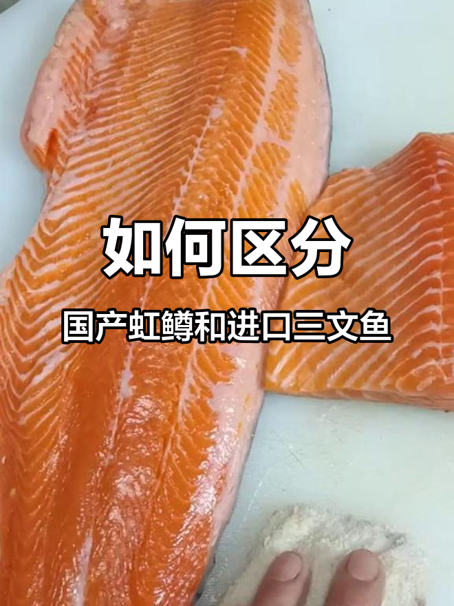国产虹鳟与进口三文鱼如何分辨，细节决定真假