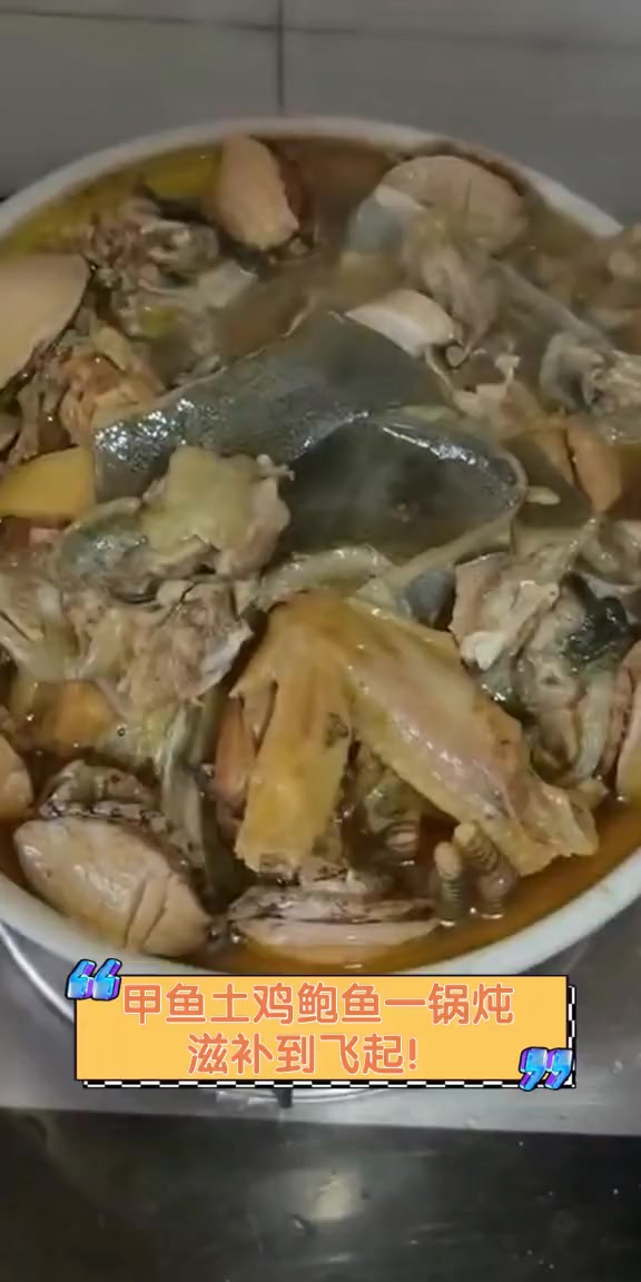 甲鱼土鸡鲍鱼一锅炖,滋补到飞起!