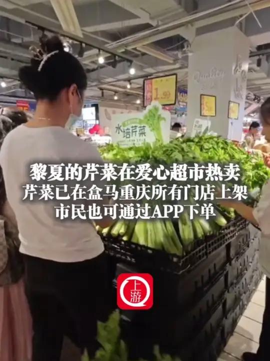 6月16日,重庆,黎夏的芹菜在爱心超市热卖 芹菜已在盒马重庆所有门店上架 市民也可通过AP