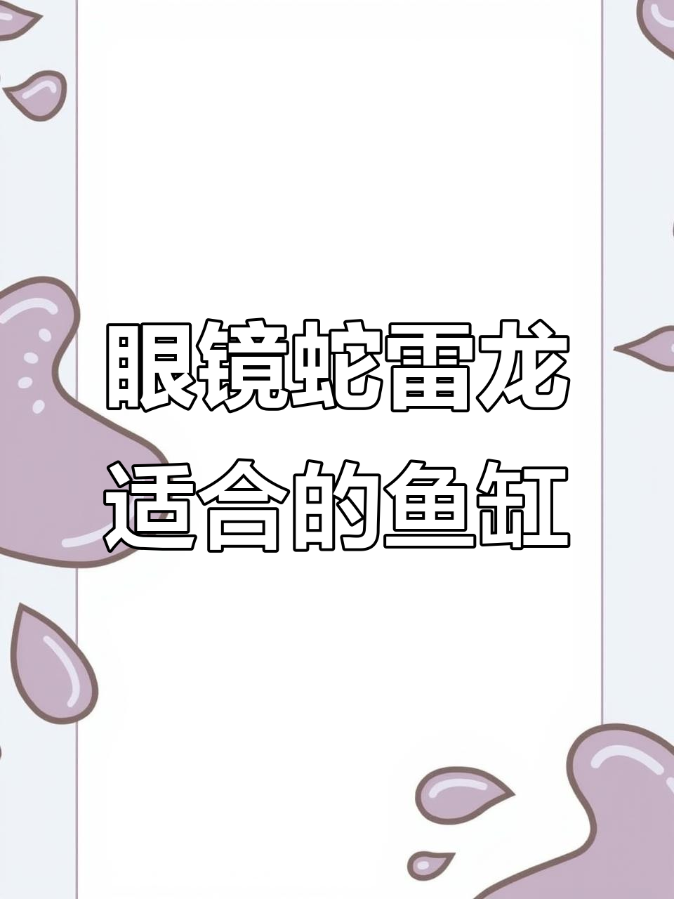 眼镜蛇雷龙鱼缸选择指南:多大尺寸最适合?
