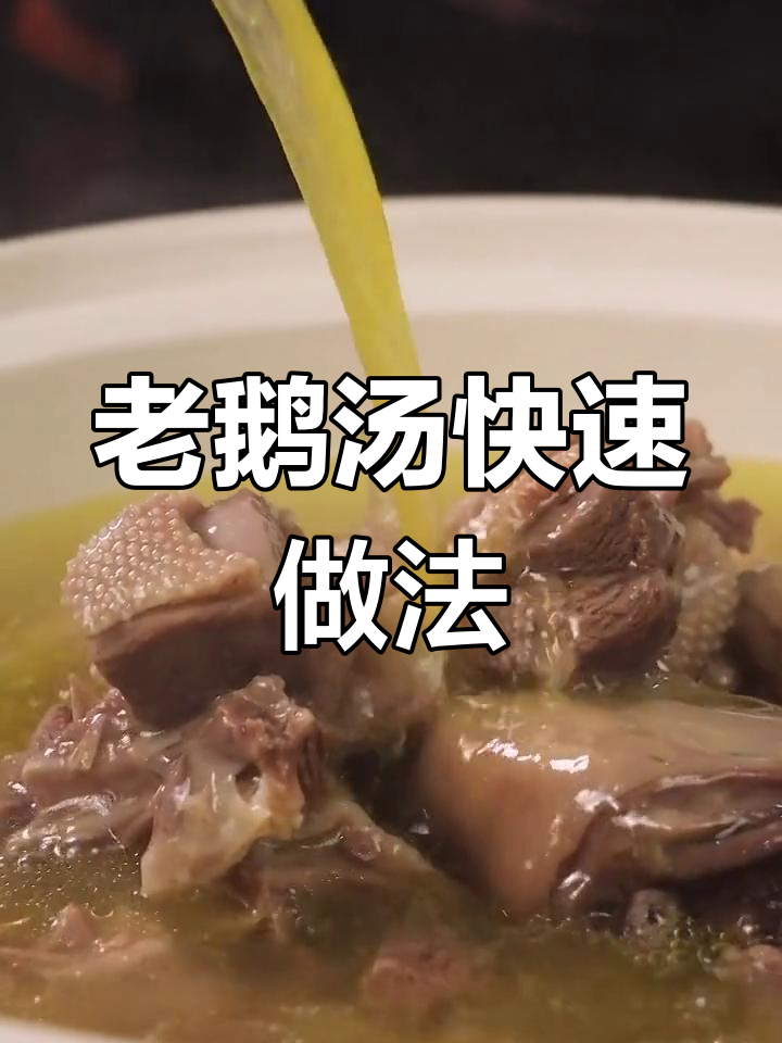 轻松炖出美味老鹅汤,16分钟搞定养生佳肴