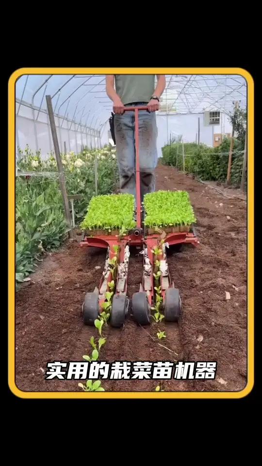 简单实用的种菜机器 生活小妙招 记录海外生活 每日趣味新闻