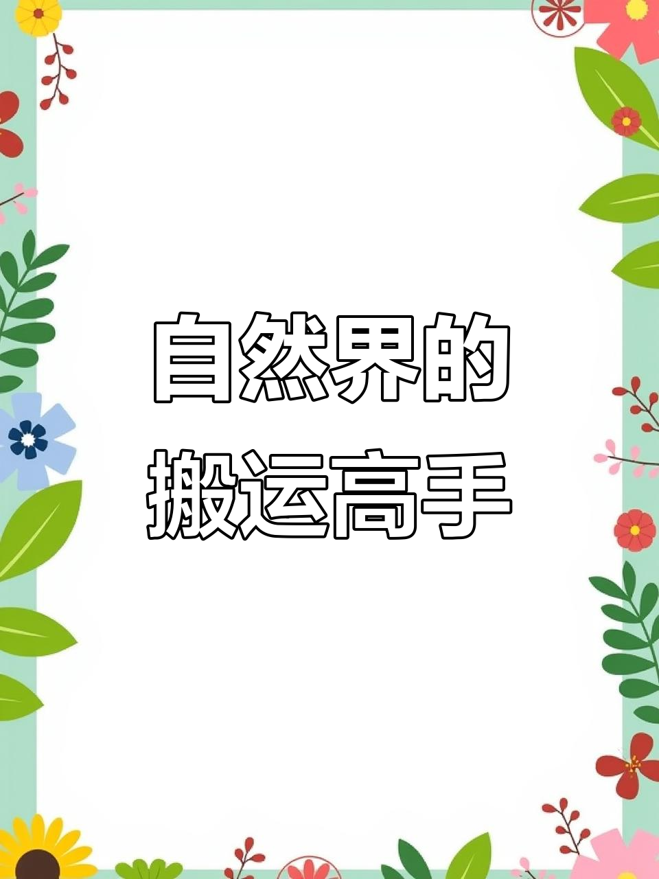 大自然的神奇搬运工,万物皆有灵