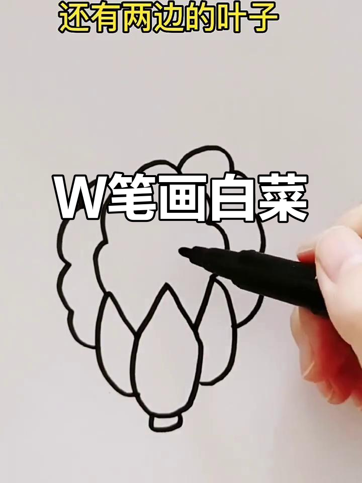 用“W”画可爱小白菜,简单又好玩!