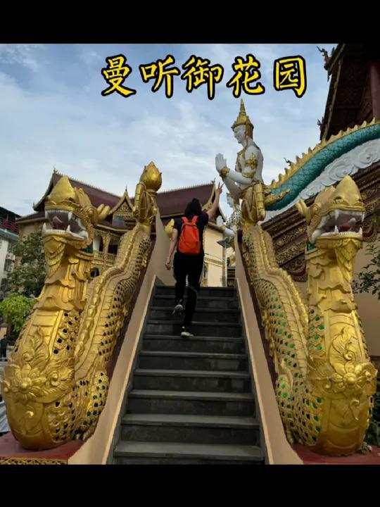 野象谷 野生动物零距离  西双版纳 般若寺 曼听公园