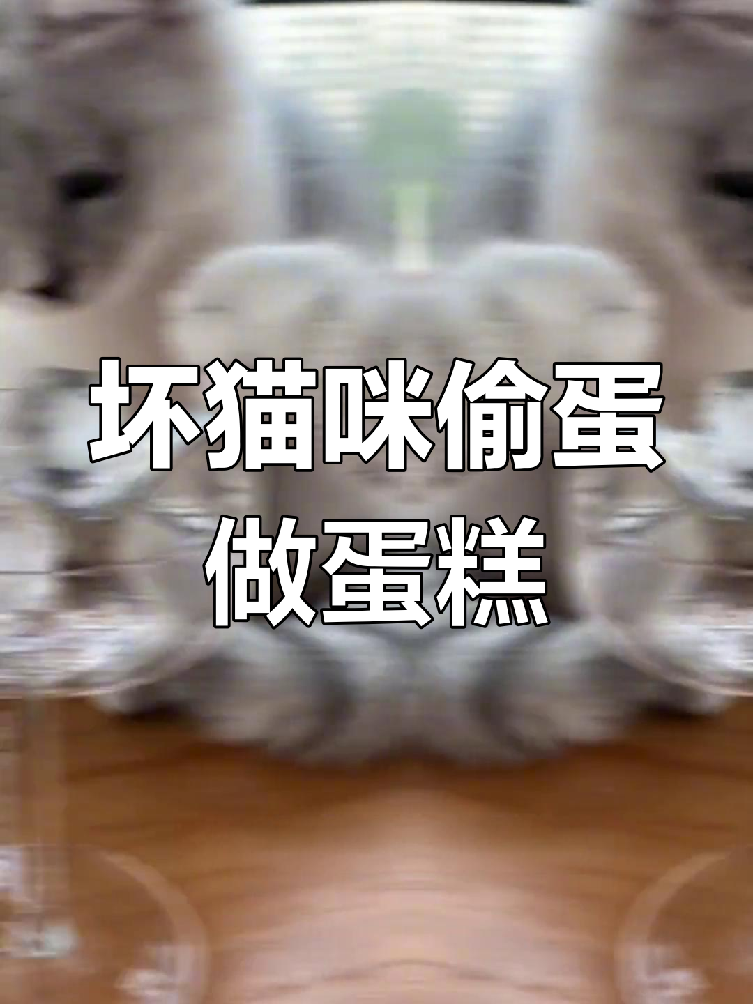 这只猫咪太调皮,偷鸡蛋做蛋糕,你敢吃吗?