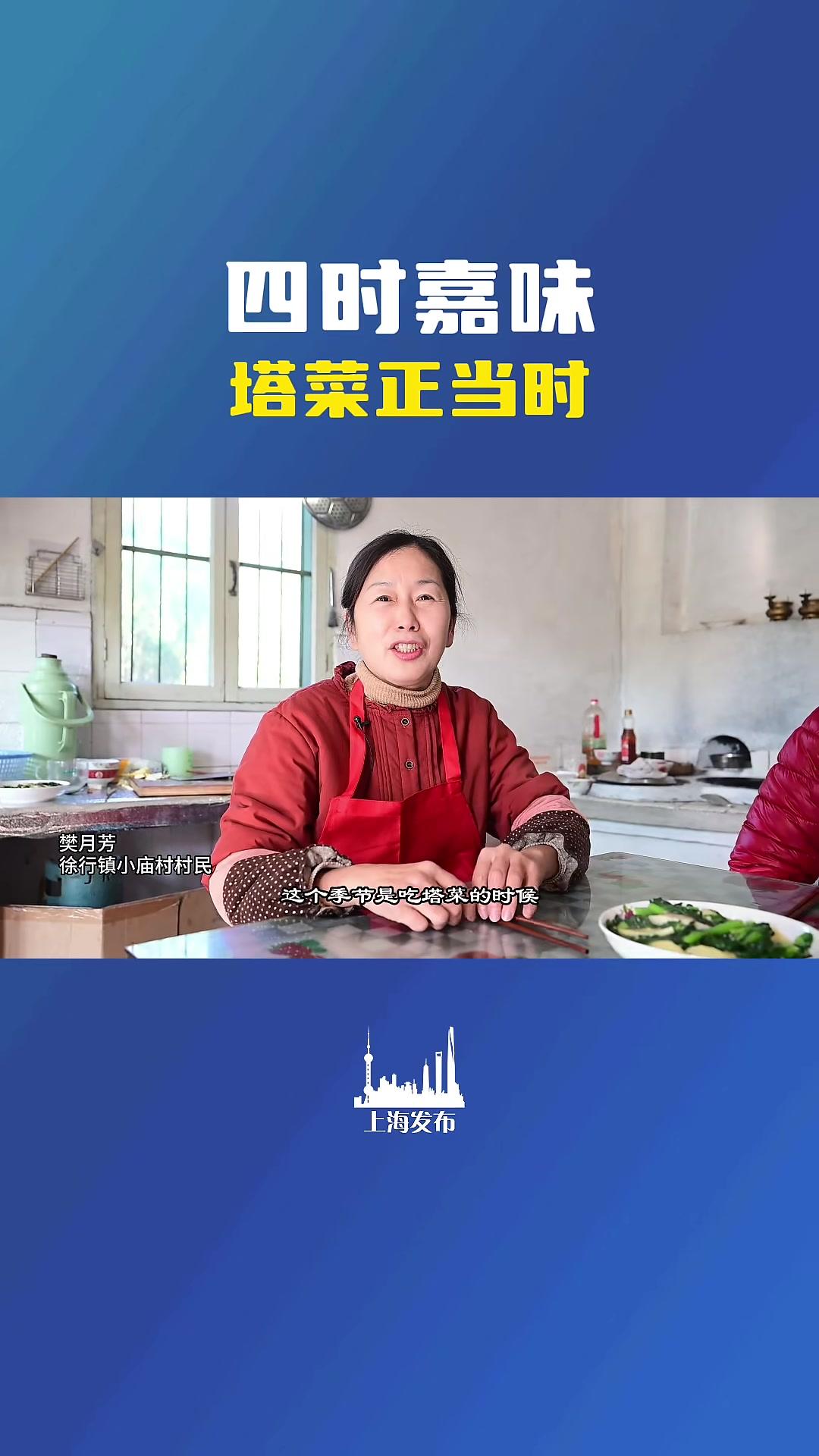 又到了吃塔菜的季节！这道菜你家会做吗？（供稿：嘉定区融媒体中心）#霜打菜