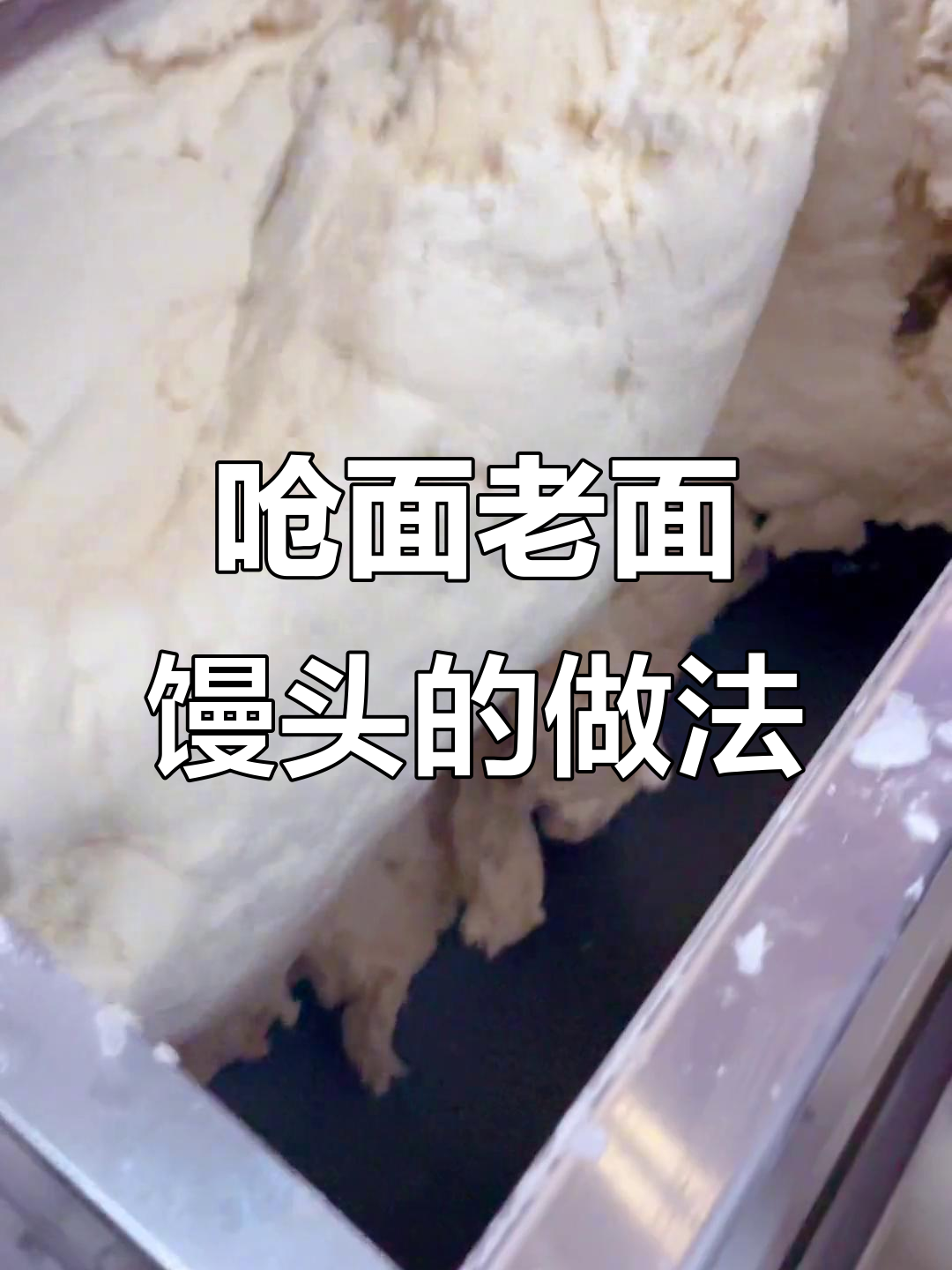 老面千层馒头制作秘籍,掌握呛面技巧让馒头更香软