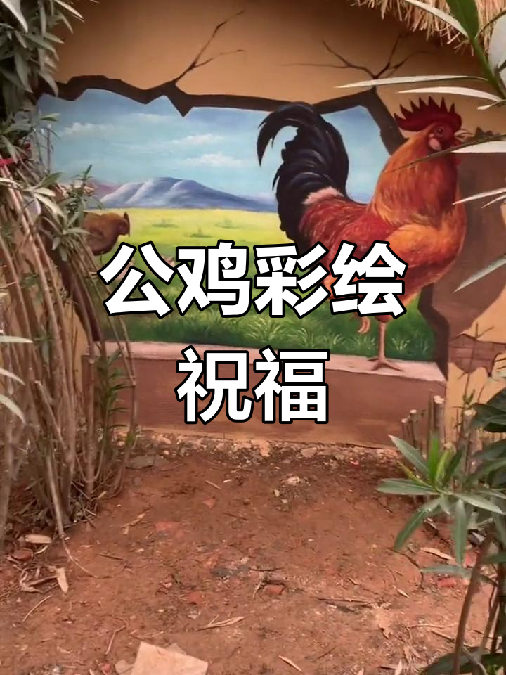 3D公鸡墙绘,美丽乡村新风貌
