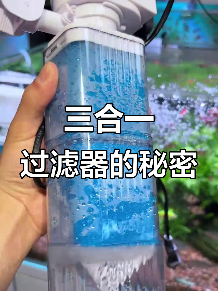 鱼缸三合一过滤器,吸屎增氧又省空间