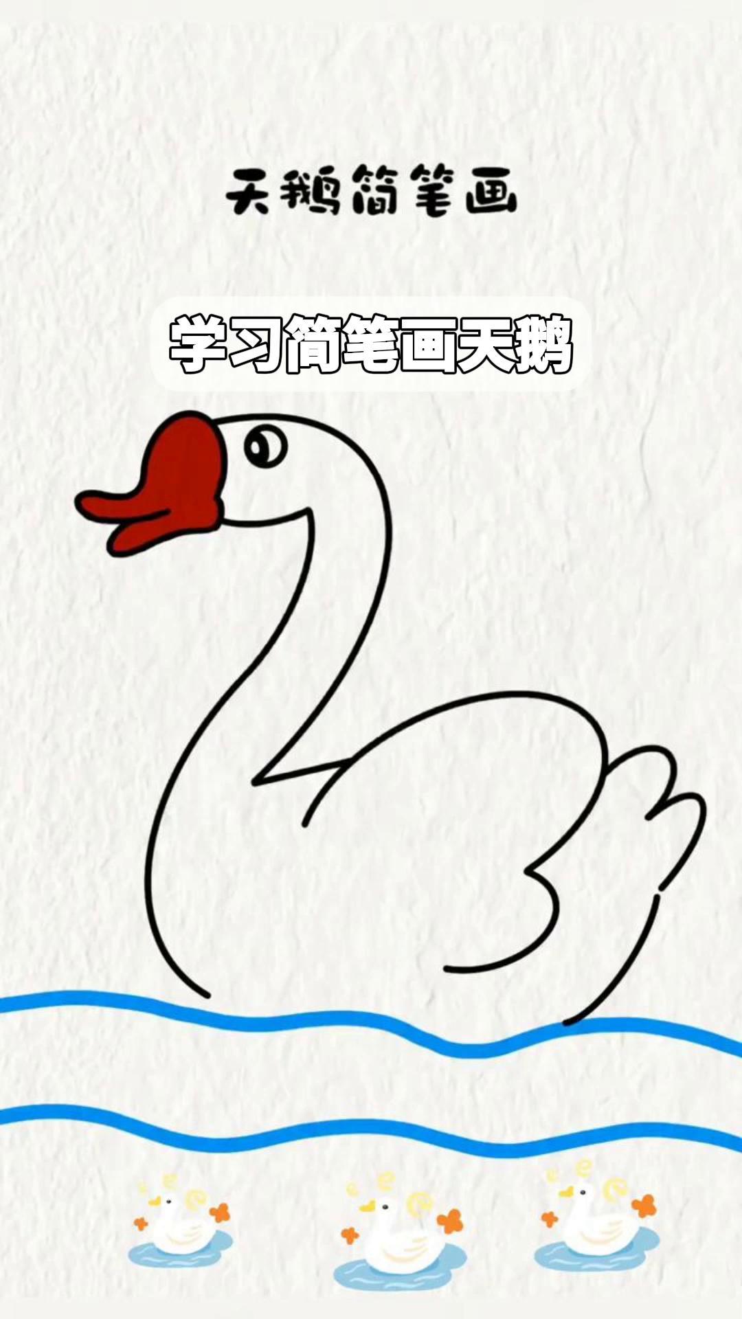 学习简笔画天鹅