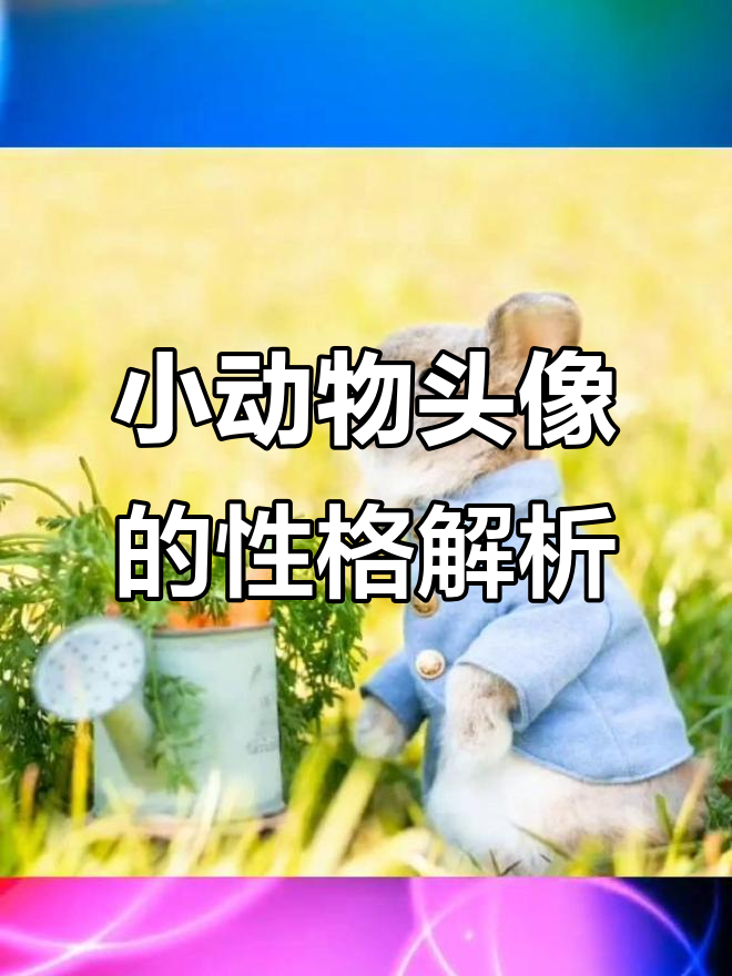 头像背后的心理暗示:用小动物做头像的人,性格和运势如何?