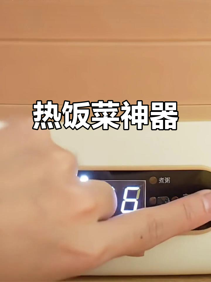 志高加热饭盒,便携蒸煮,上班族必备热饭菜神器