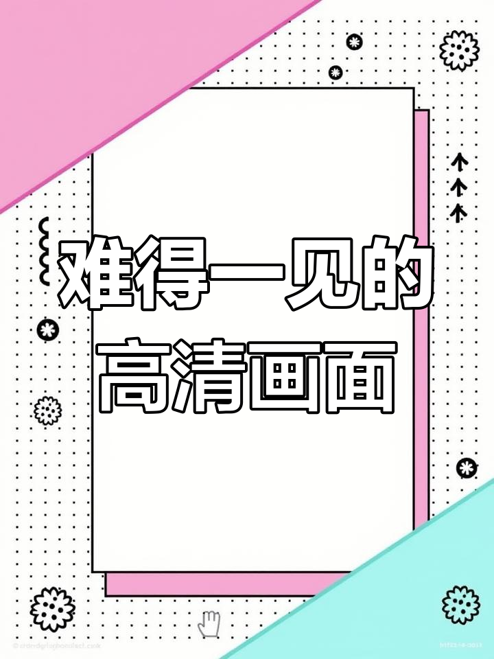 江苏罕见河燕鸥捕鱼高清影像