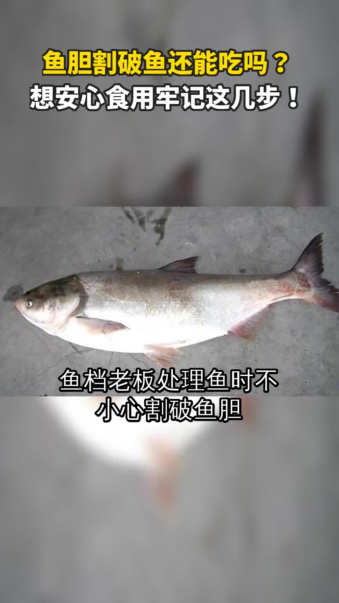 鱼胆割破鱼还能吃吗?想安心食用牢记这几步!