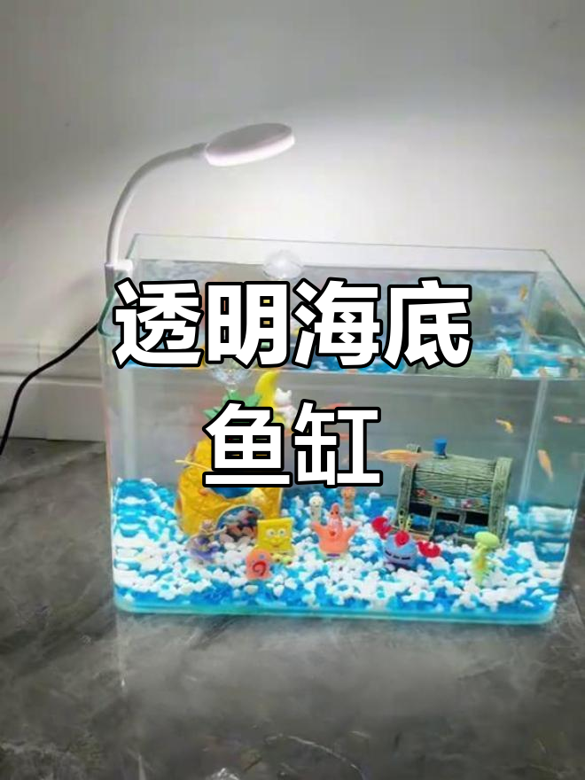 自制超白玻璃鱼缸,打造梦幻海底世界