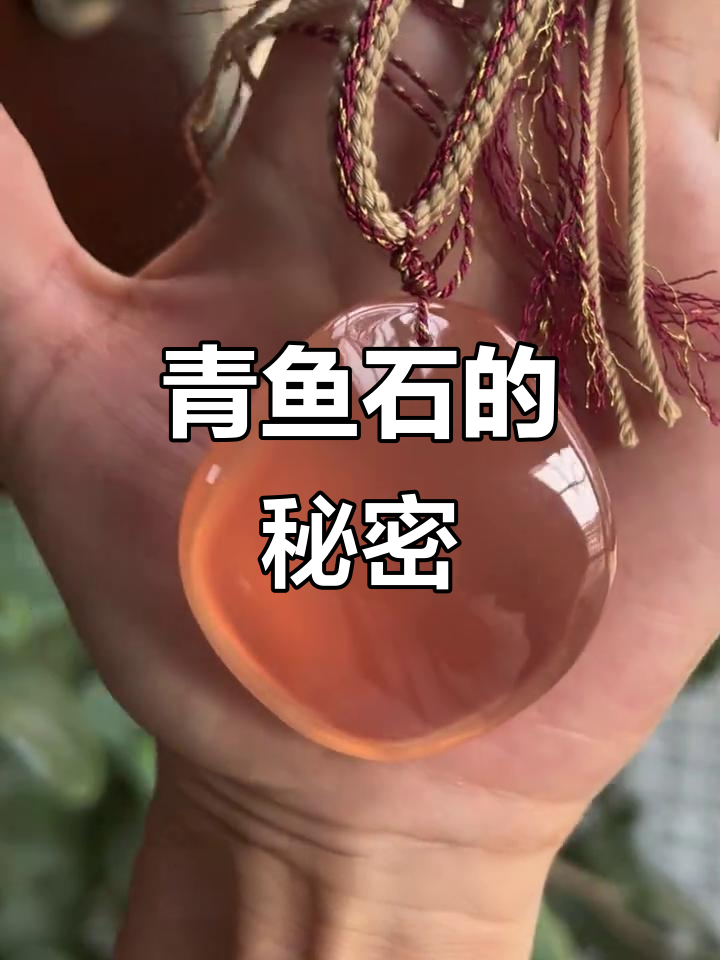 青鱼石是隐藏在头部的珍品,红烧前别忘了取出来