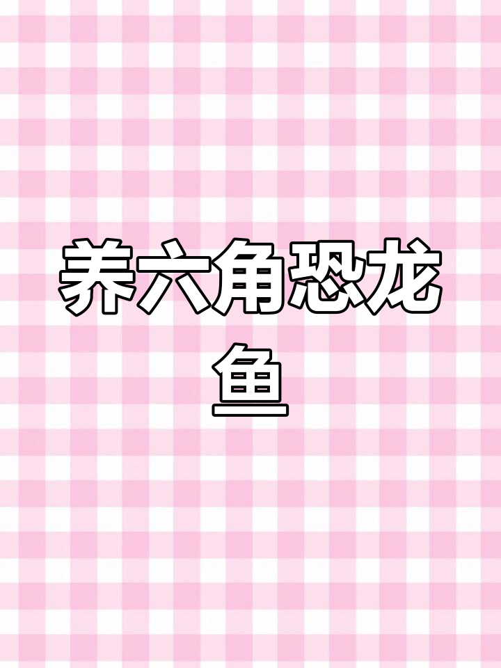 终于养恐龙了!六角恐龙鱼超可爱,再生能力惊人