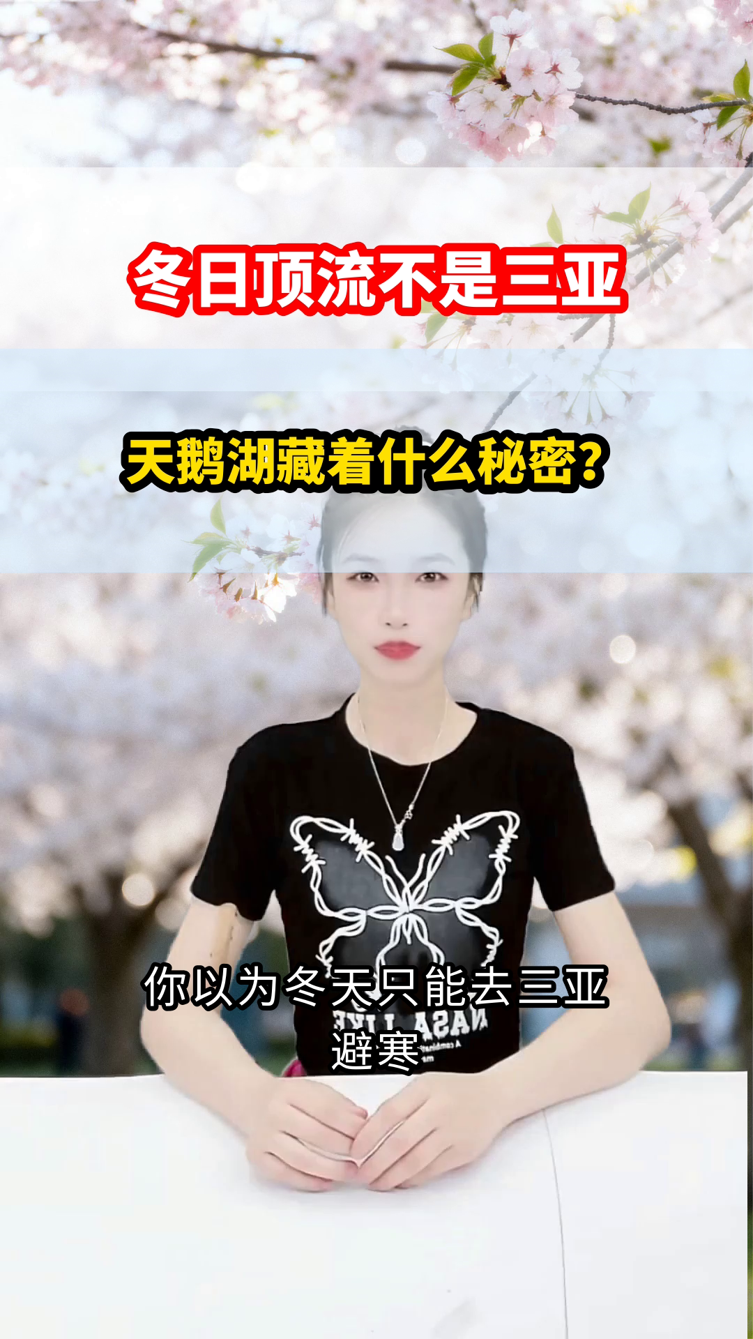 别挤西湖了！三门峡天鹅湖才是真顶流