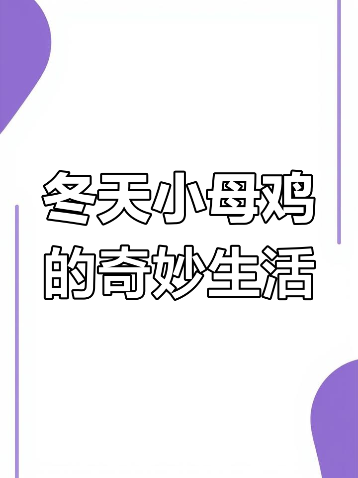 冬季野鸡藏身雪地,旺财追逐成趣
