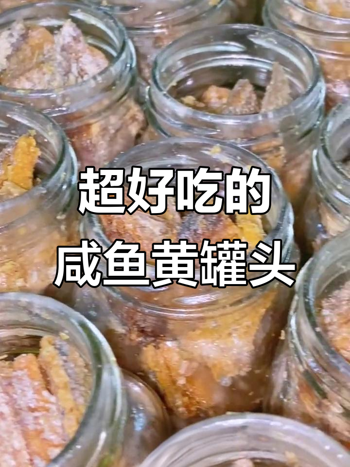 咸鱼黄罐头，拌饭神器！满满一瓶深海鱼鲜香十足
