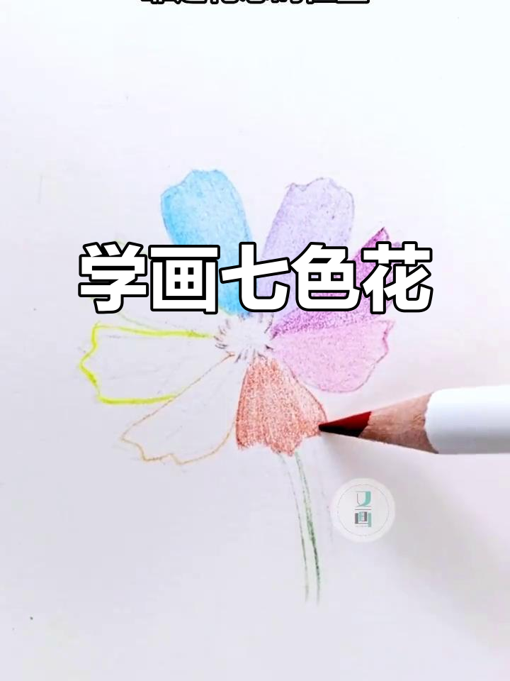 简单步骤教你画七色花,彩铅技巧轻松掌握