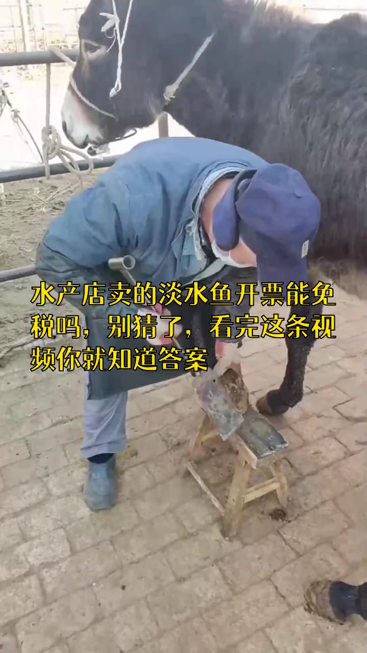 水产店卖的淡水鱼开票能不能免税