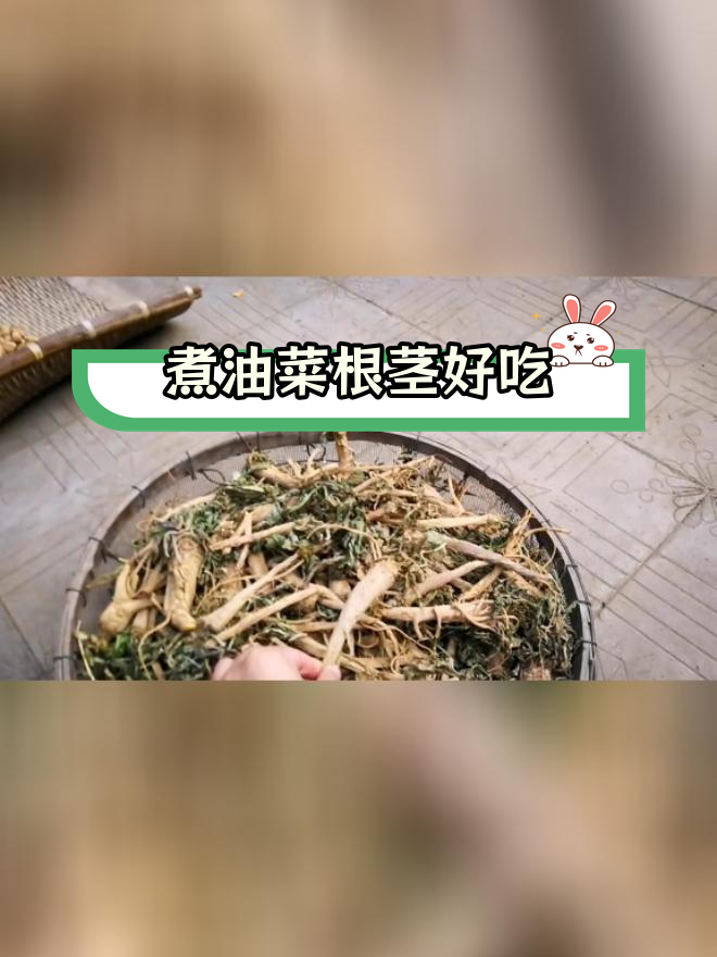 油菜根茎煮熟后,味道像人参