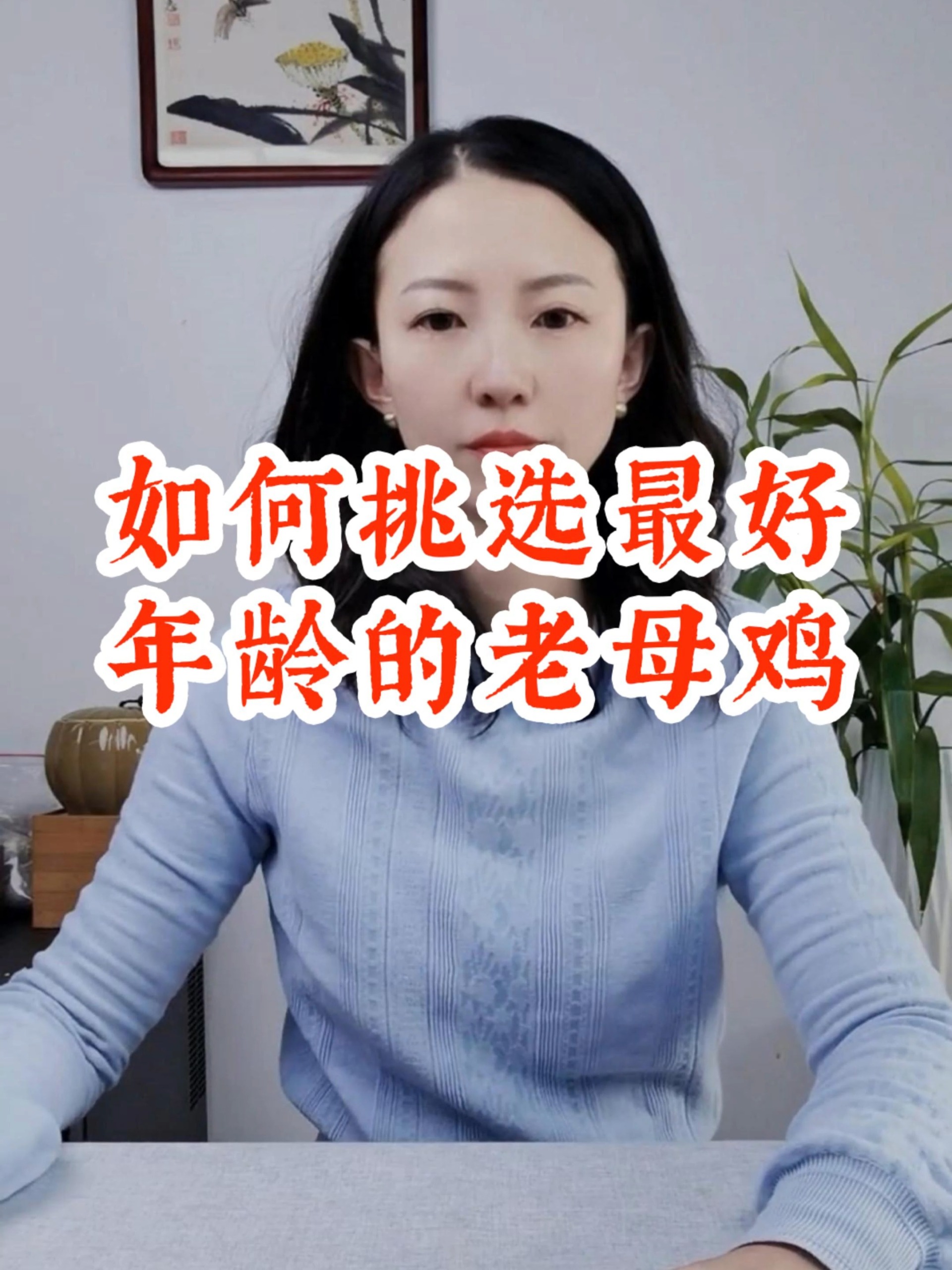 很多人都选错,该选这个龄的老母鸡炖汤最佳