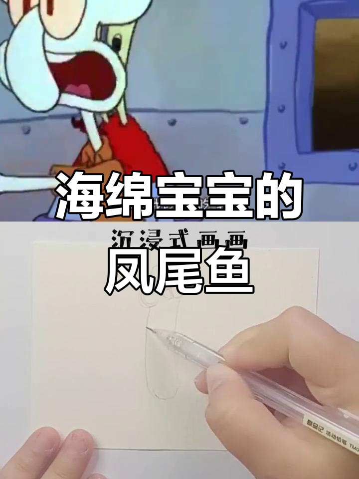 凤尾鱼食量惊人，海绵宝宝里的搞笑小家伙！