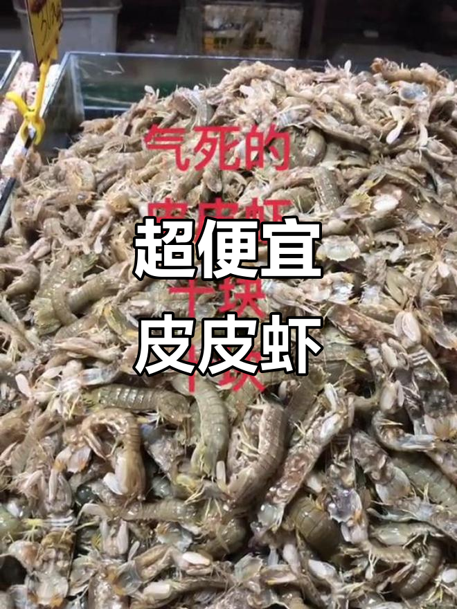 皮皮虾又来了,十块钱一斤超值福利!