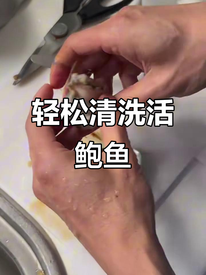 手把手教你清理活鲍鱼,简单步骤变厨艺达人