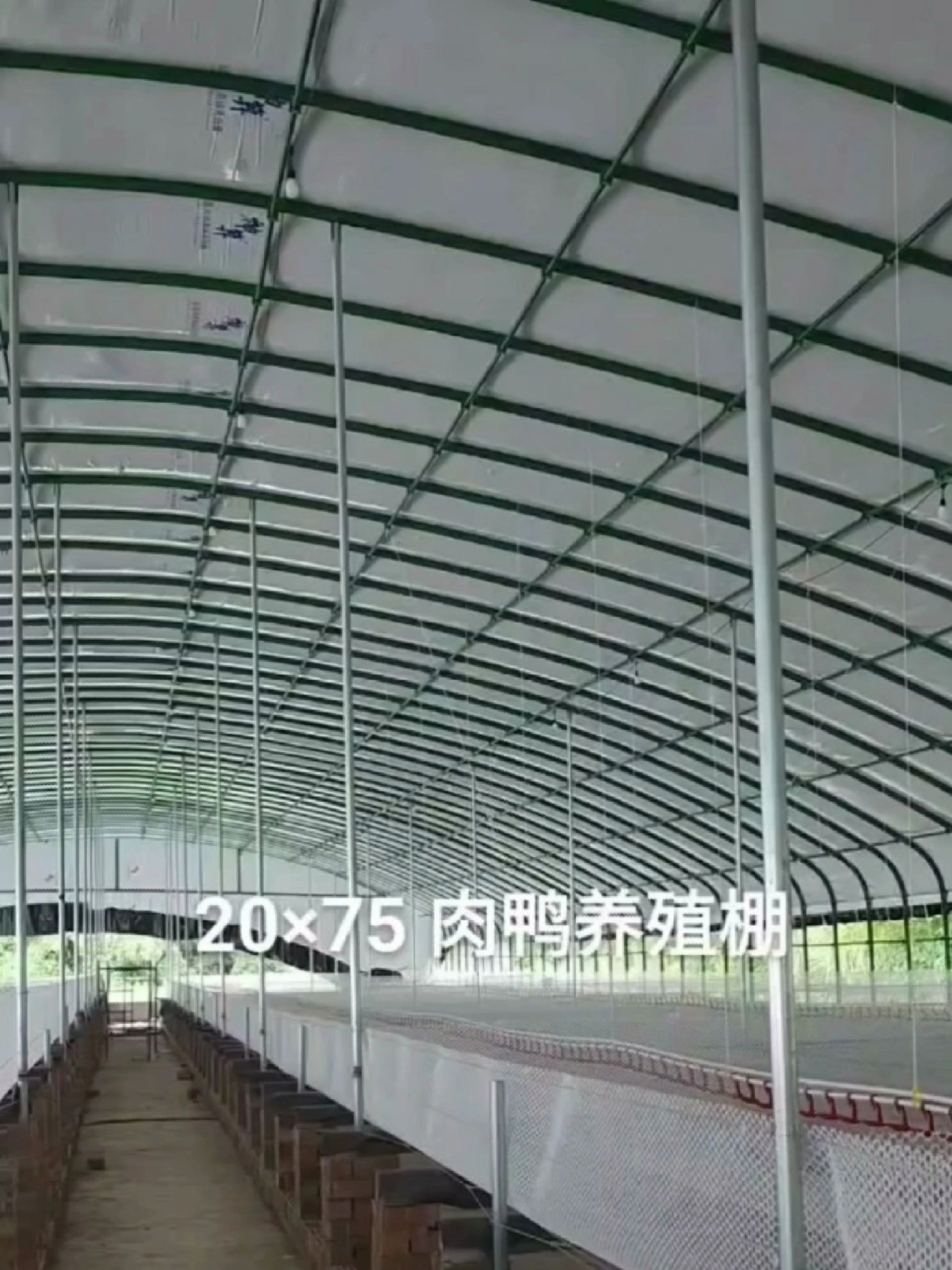 搭建养鸭大棚 网床养鸭棚建设 保温鸭舍大棚