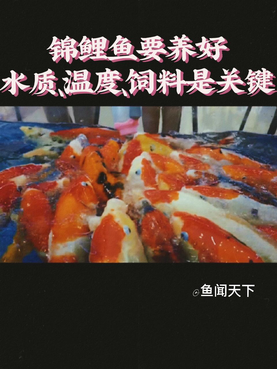 分享视频
