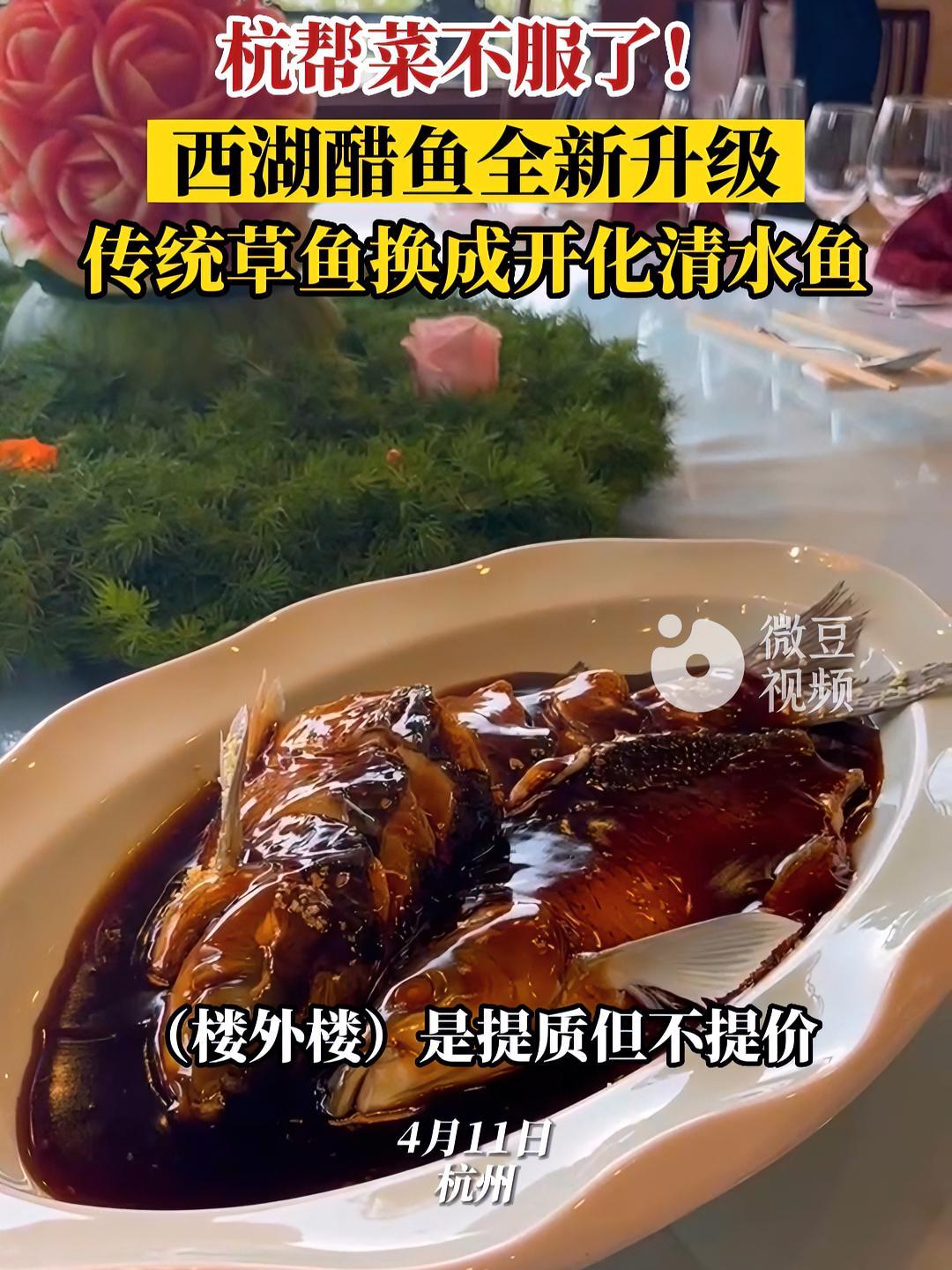 杭帮菜 表示不服!西湖醋鱼 全新升级,传统草鱼换成开化清水鱼 浙江dou知道