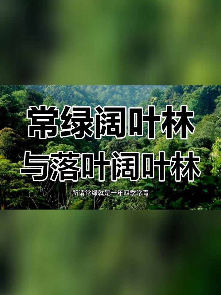 森林植被的种类与分布