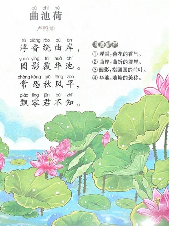 关于夏天荷花的古诗词《曲池荷》卢照邻