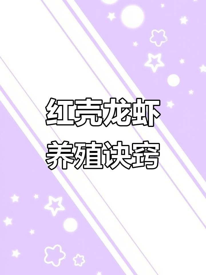 微量元素补充让龙虾从大青变红壳,秘诀就在这里