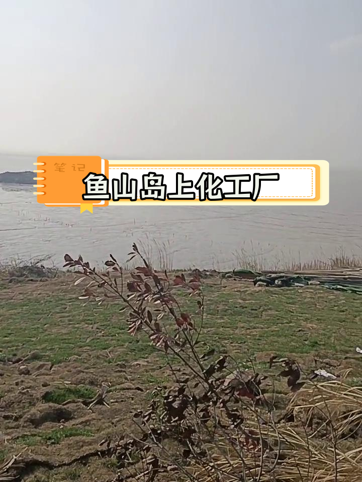 舟山岱山县鱼山岛的化工工厂探秘