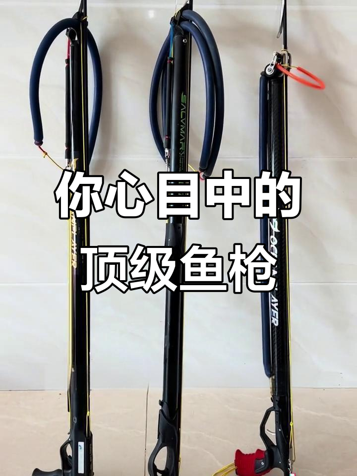 顶级鱼枪大比拼,哪款最适合你?