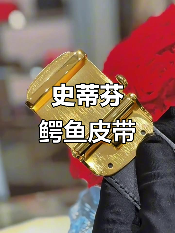 史蒂芬鳄鱼皮男士自动扣腰带,时尚与品质的完美结合