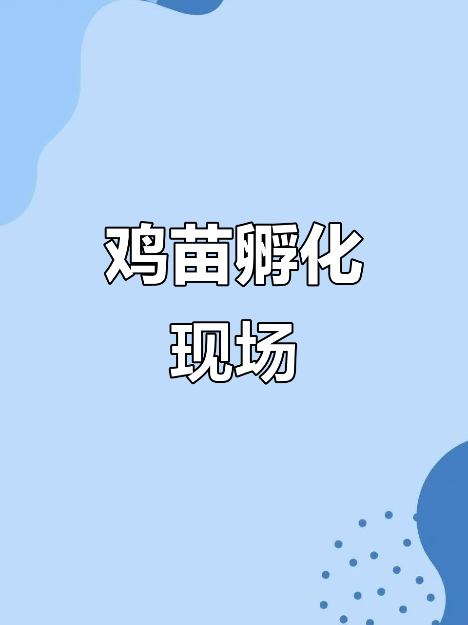 鸡苗孵化场全景展示,了解养殖过程