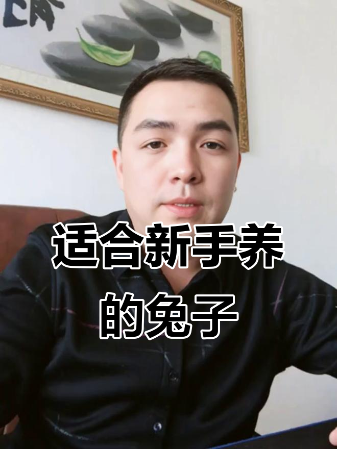 新手养兔选品种,肉兔最合适