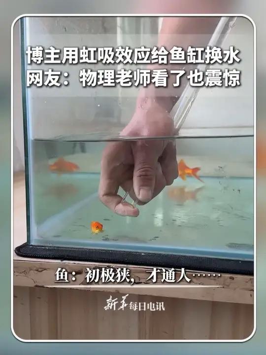 博主“张国伟_国家伟大”用虹吸效应给鱼缸换水,网友:物理老师看了也震惊,网友:鱼:初极狭,