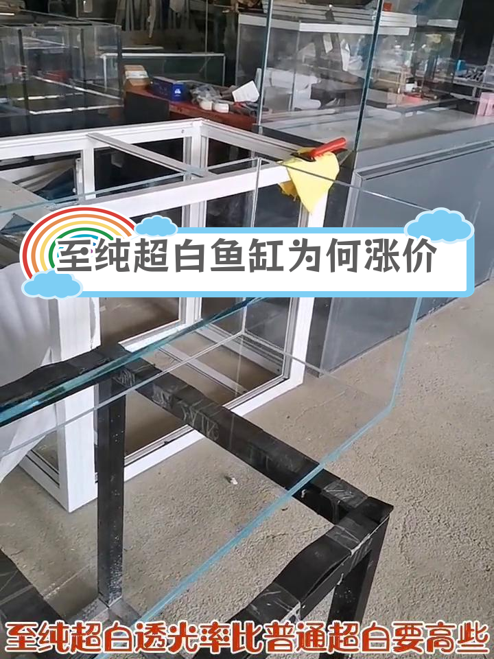 金晶至纯超白玻璃鱼缸价格飙升的原因