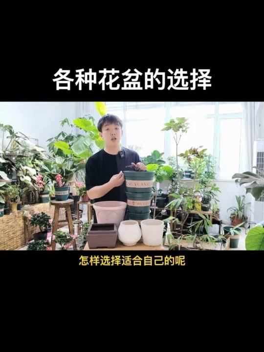 新手养花的花盆选择,各种花盆优缺点