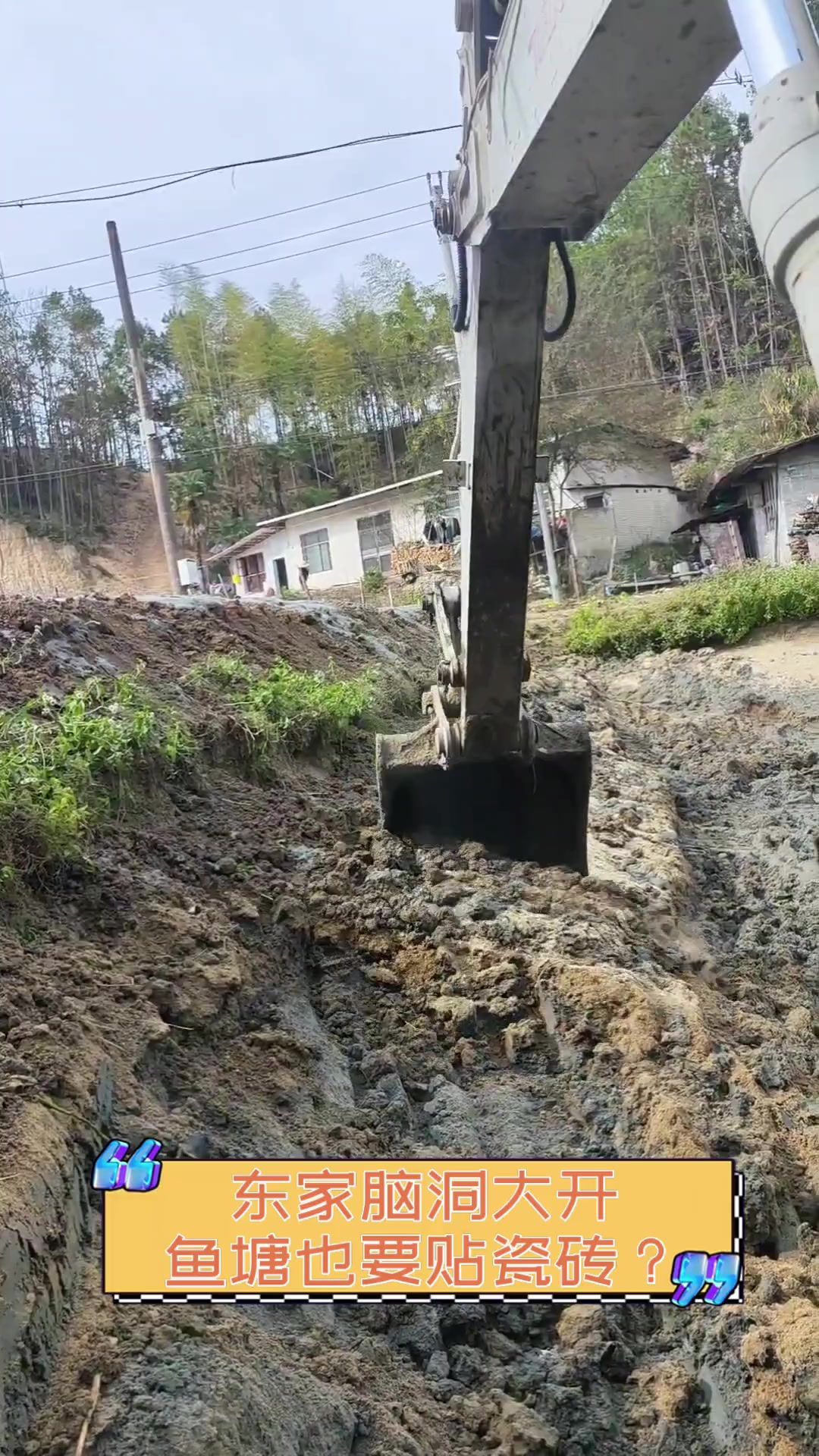 东家脑洞大开,鱼塘也要贴瓷砖?