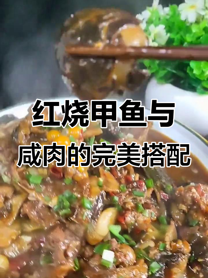 乡村红烧甲鱼,咸肉烧老鳖的独特做法