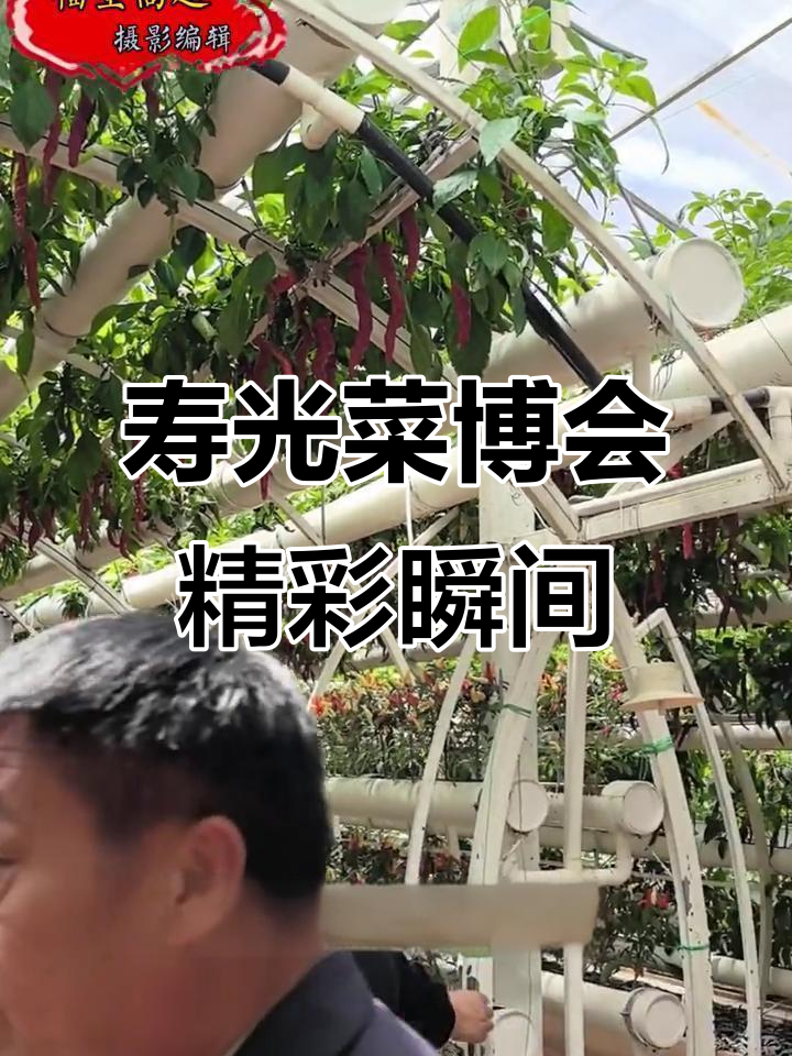 寿光蔬菜博览会:全球目光聚焦的智慧农业盛会